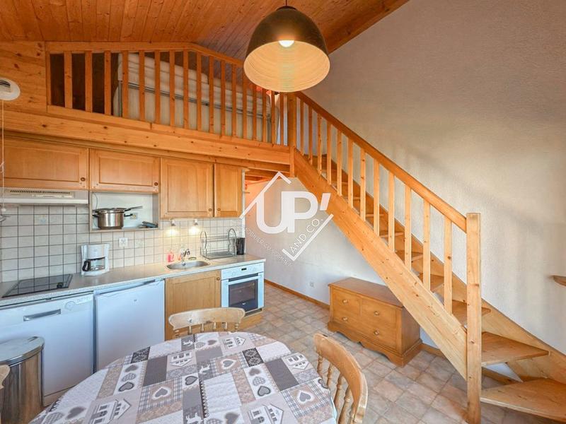 Duplex - 49 m² - 2 pièces