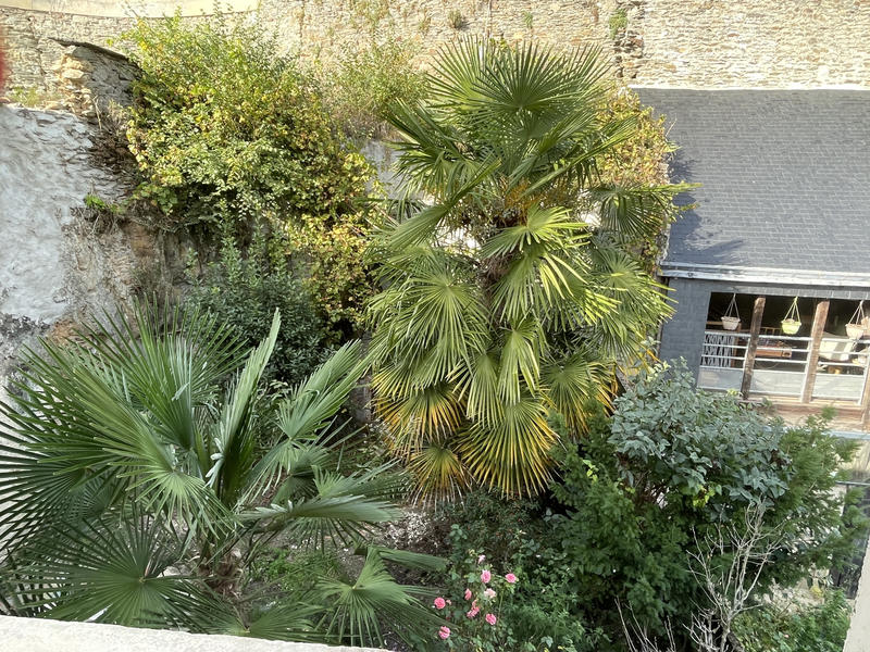 Appartement - 53 m² - 3 pièces