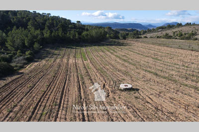 Terrain agricole - 41 295 m²