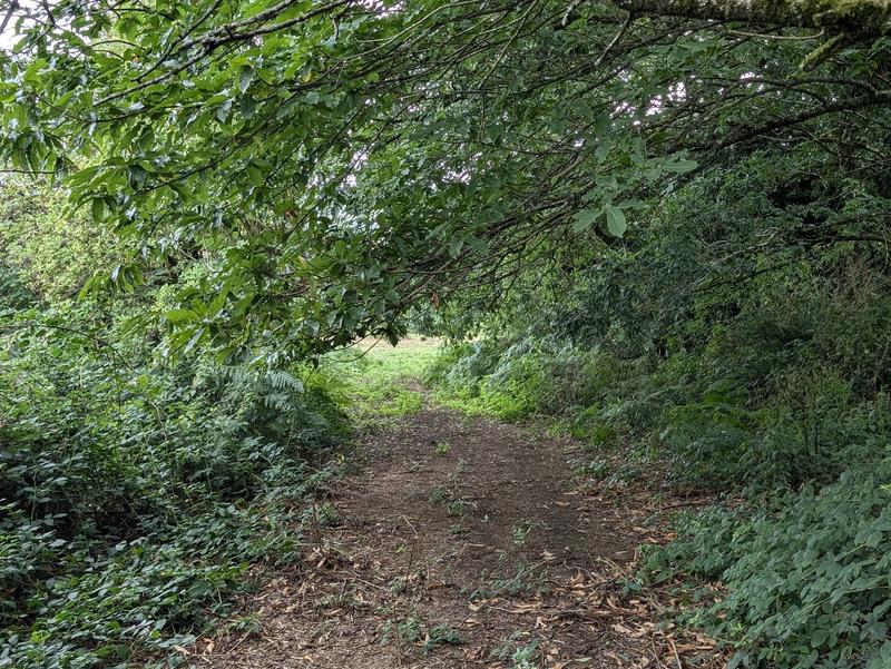 Maison ancienne - 6 pièces