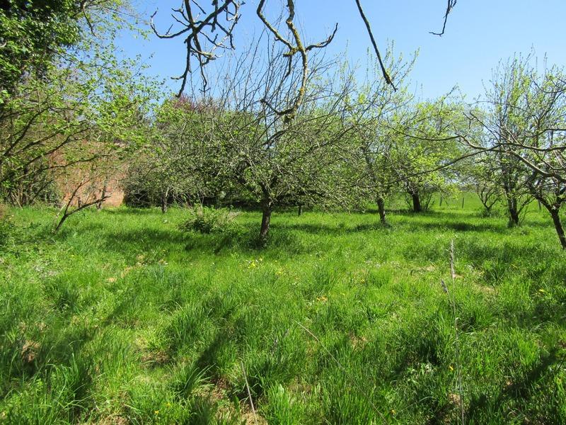 Corps de ferme - 145 m² - 7 pièces