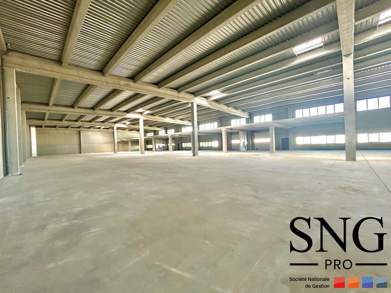 Entrepôt - 309 m²