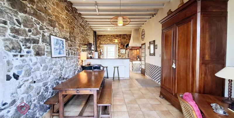 Château - 288 m² - 9 pièces