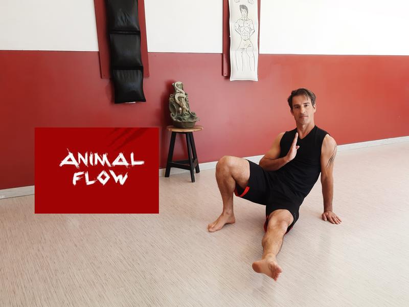 Wing tsun montalbanais