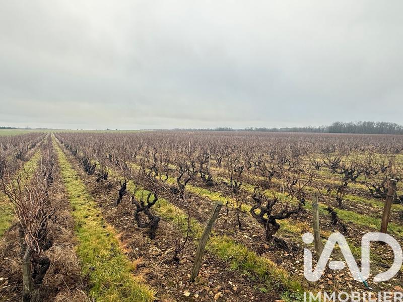 Terrain - 39 692 m²