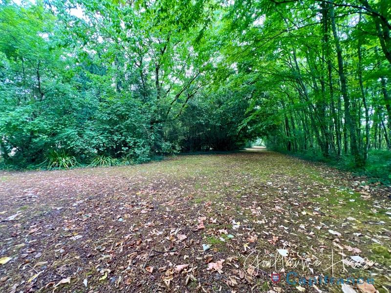 Propriété - 248 m² - 6 pièces