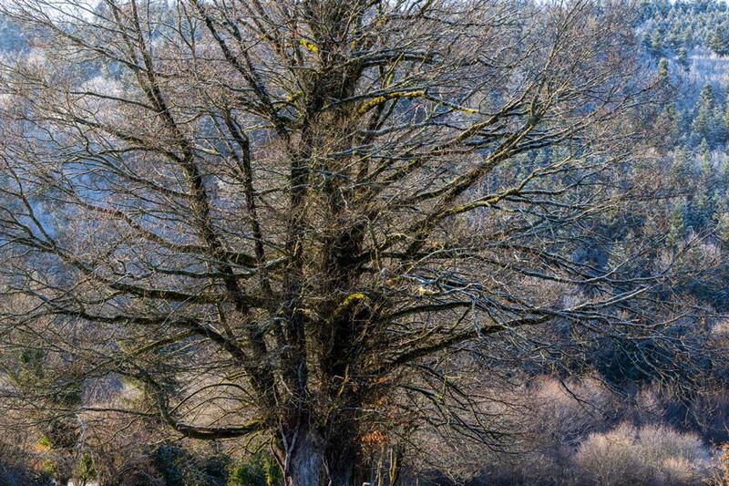 Terrain constructible - 865 m²