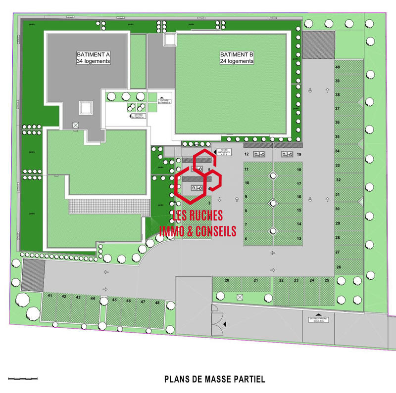 Appartement - 45 m² - 2 pièces