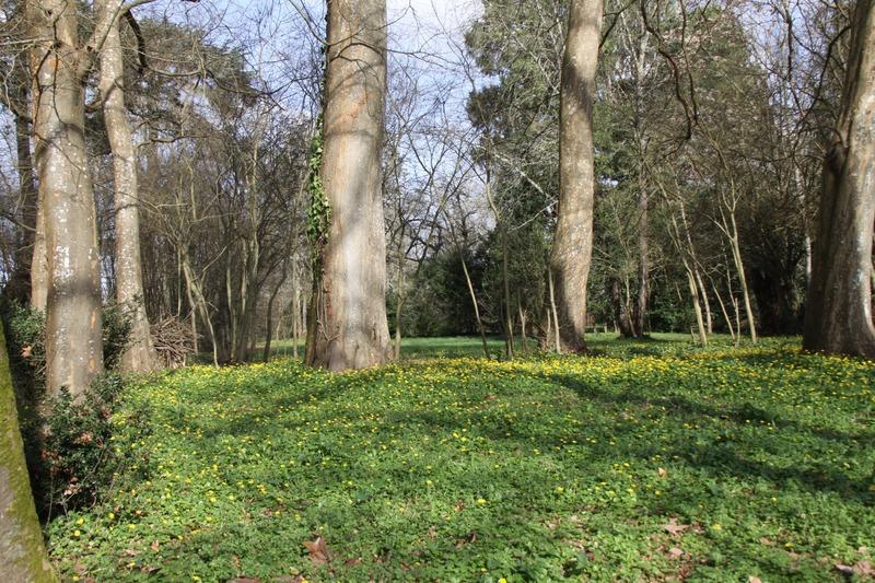 Terrain constructible - 8 124 m²