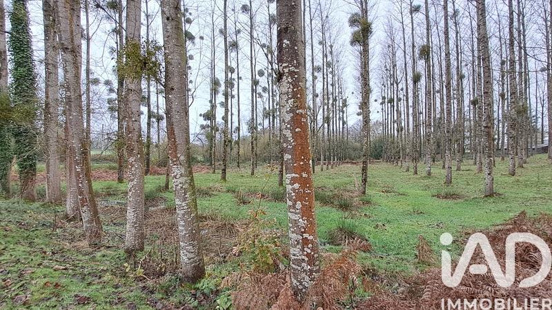 Terrain - 13 447 m²