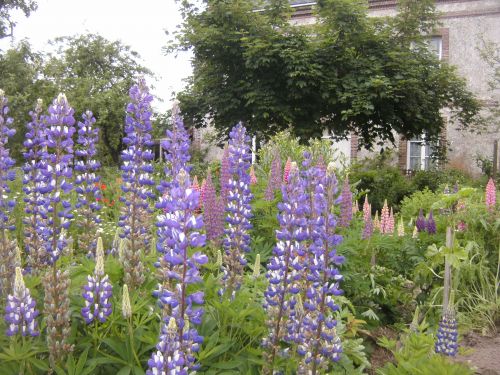 la ferme de l'oraille