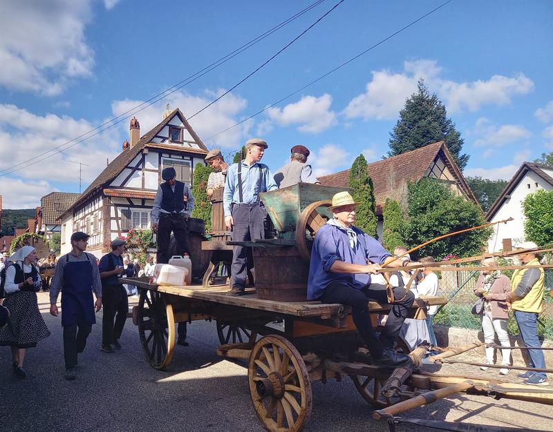 Les vendanges d'antan