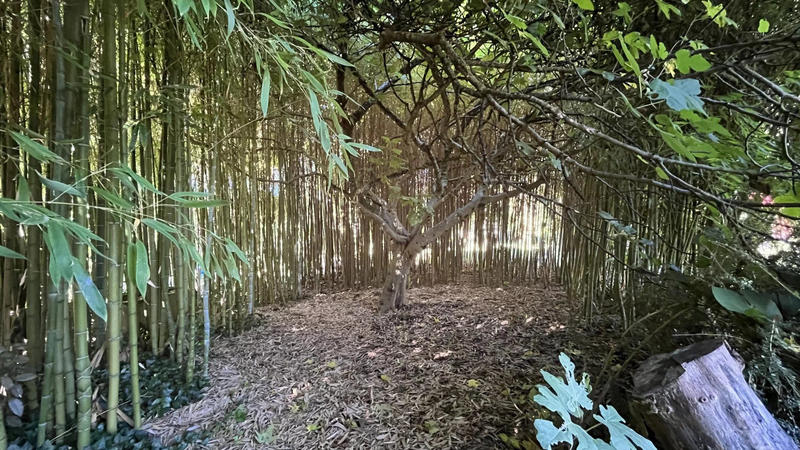 Maison - 265 m² - 6 pièces