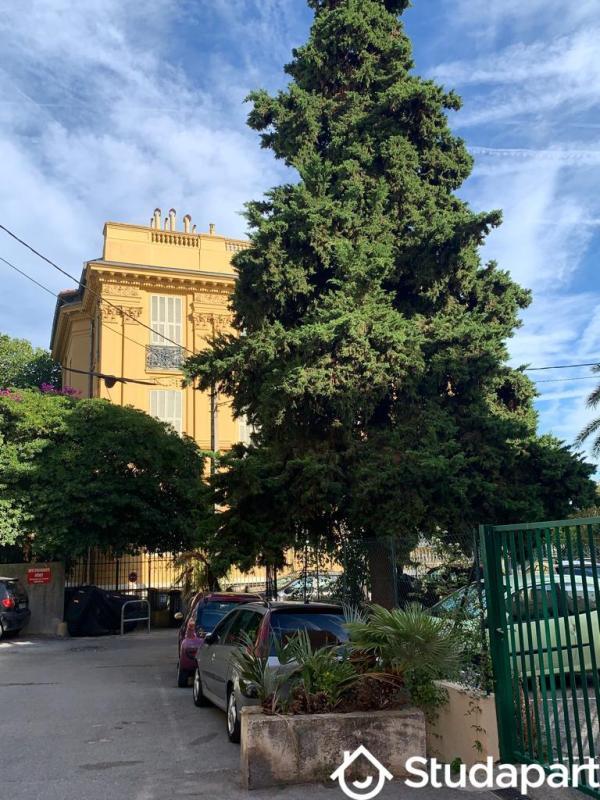 Appartement - 20 m² - 1 pièce