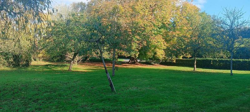 Maison ancienne - 262 m² - 8 pièces