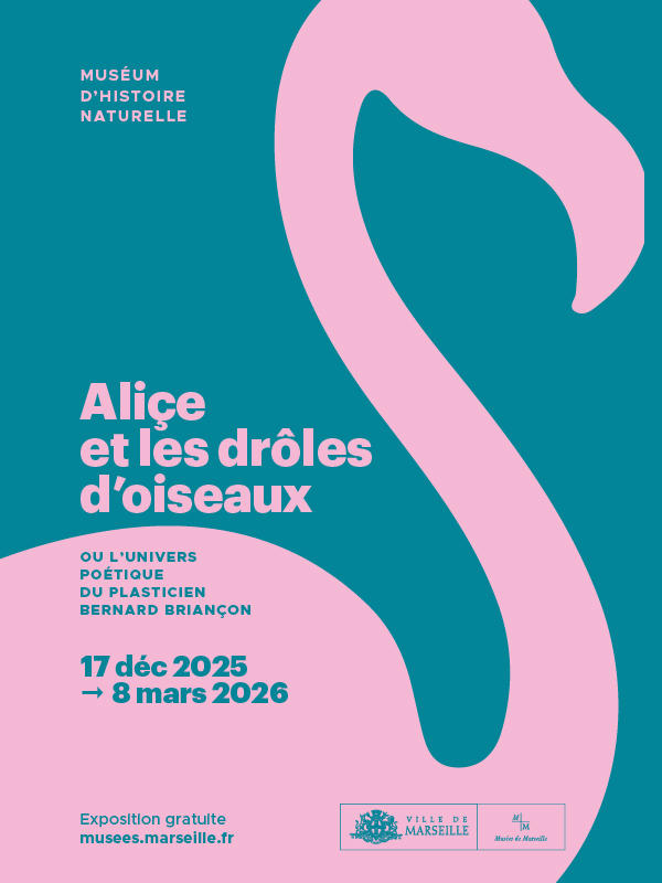 Visites flash animée "Aliçe et les drôles d'oiseaux" (vacances d'hiver)