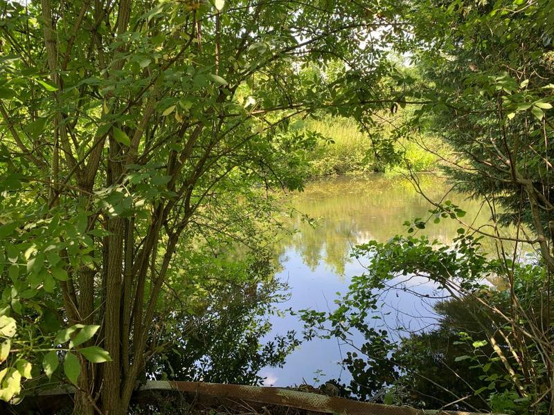 Propriété - 89 m² - 3 pièces