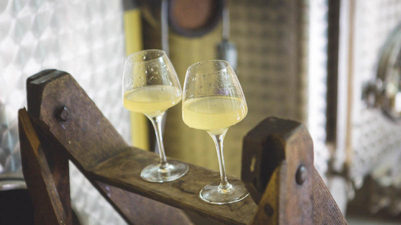 Visite de cave et dégustation commentée