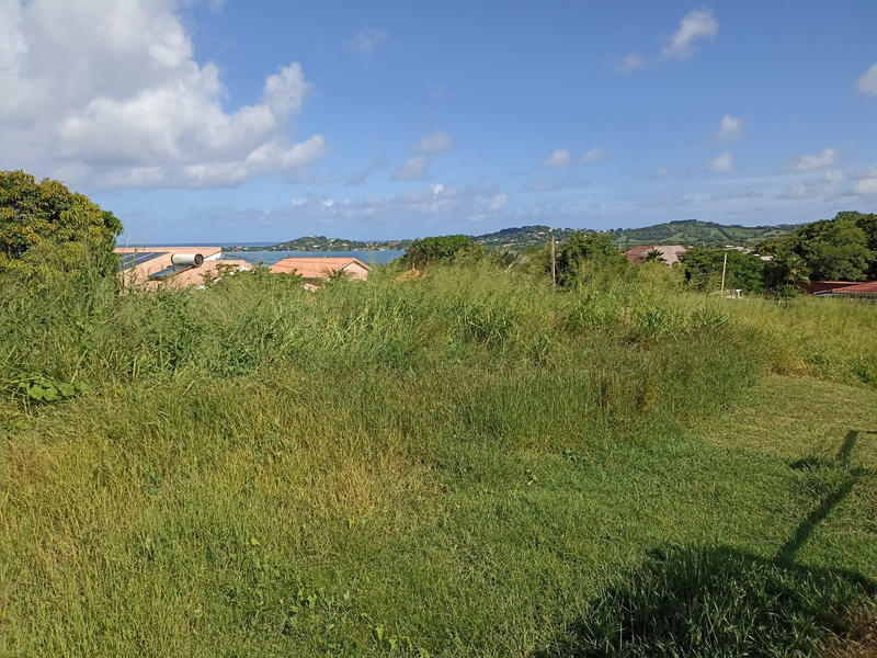 Terrain - 779 m²