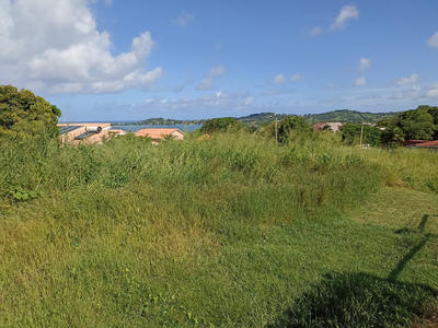 Terrain - 779 m²