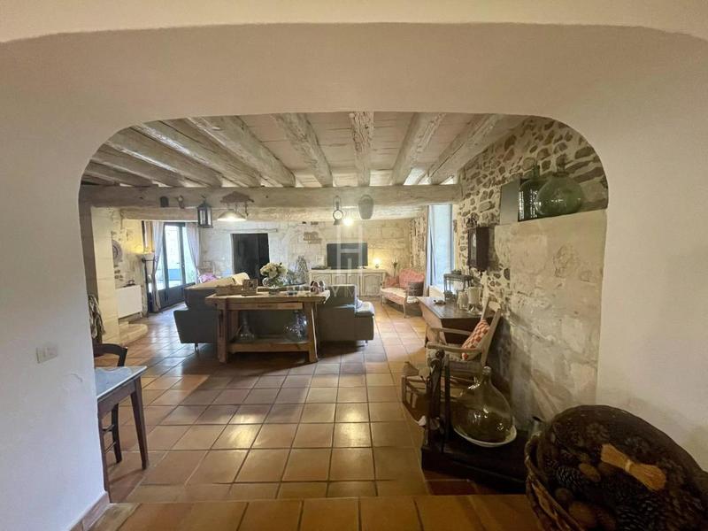 Mas - 450 m² - 5 pièces