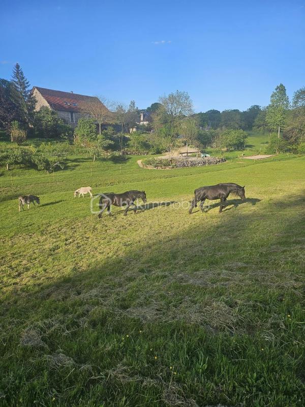 Maison chambre d'hôtes - 490 m² - 12 pièces