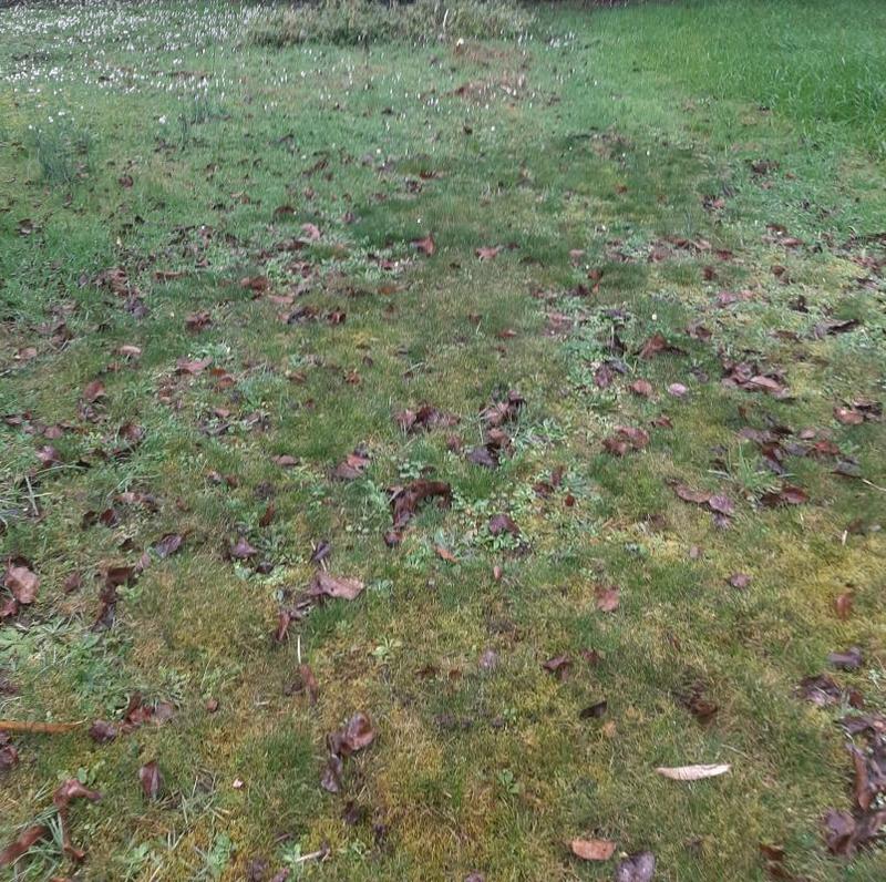 Terrain constructible - 219 m²