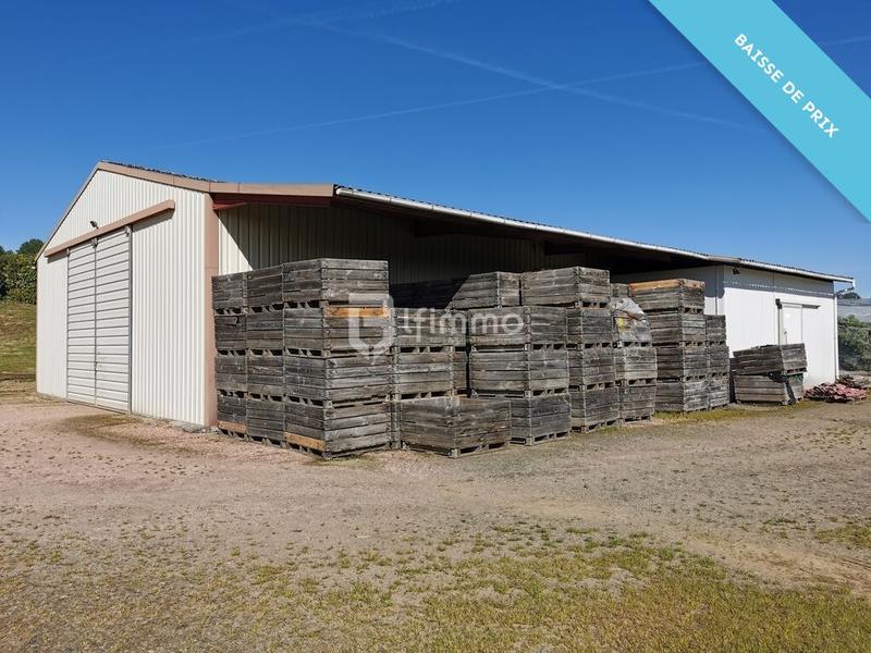 Propriété - 154 m² - 6 pièces