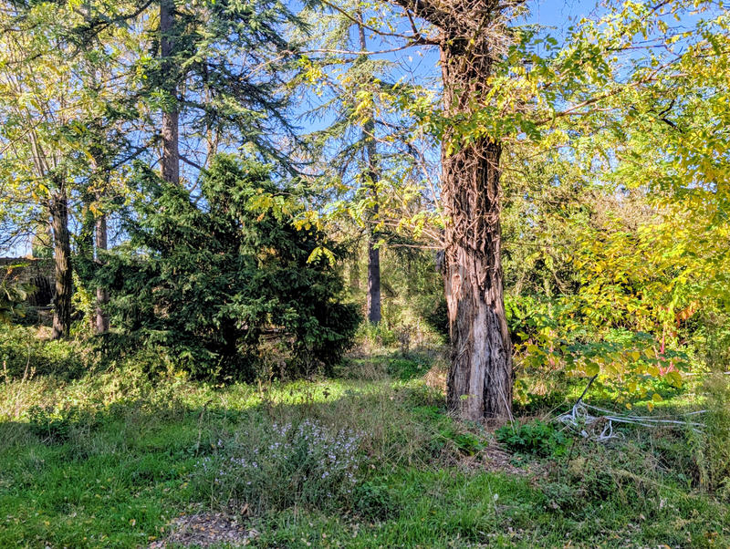 Maison - 479 m² - 15 pièces