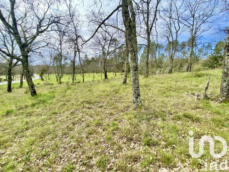Terrain - 5 010 m²