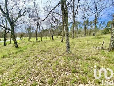 Terrain - 5 010 m²