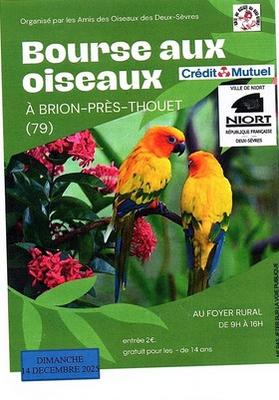 Bourse aux oiseaux