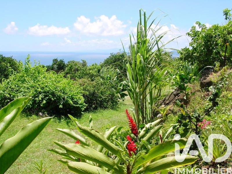 Immeuble - 1 148 m²