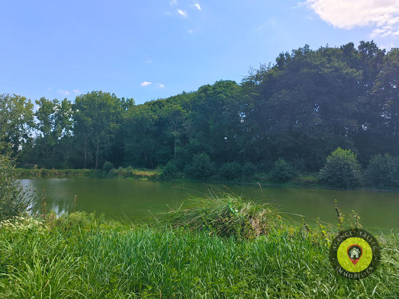 Maison - 750 m² - 13 pièces