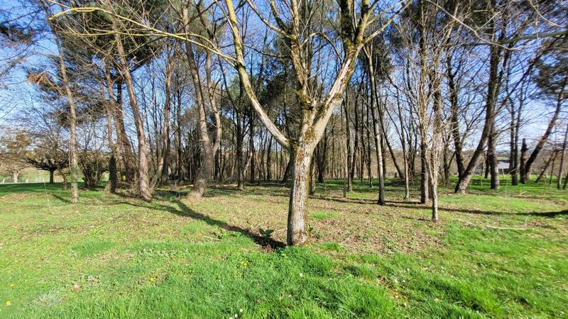 Maison - 132 m² - 5 pièces