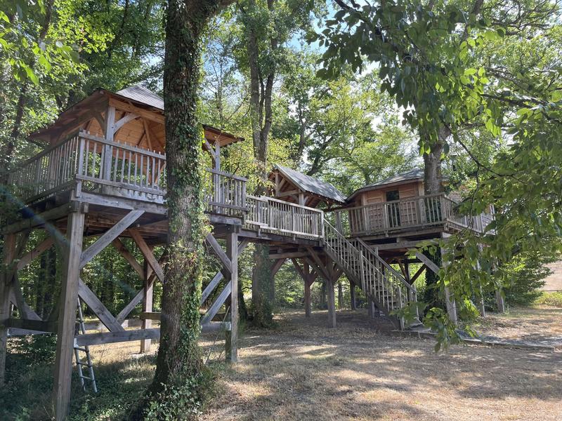 Maison - 900 m² - 20 pièces