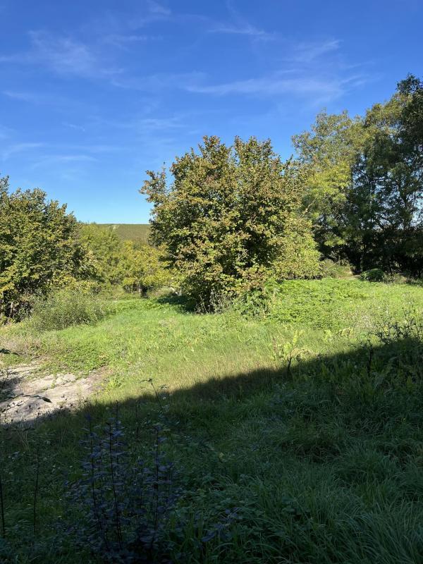 Maison - 288 m² - 12 pièces