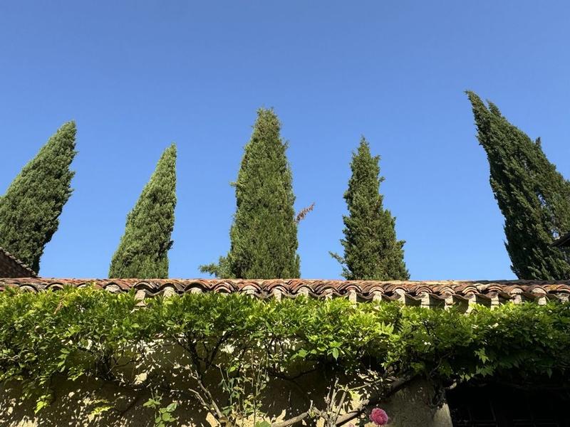 Manoir - 400 m² - 11 pièces