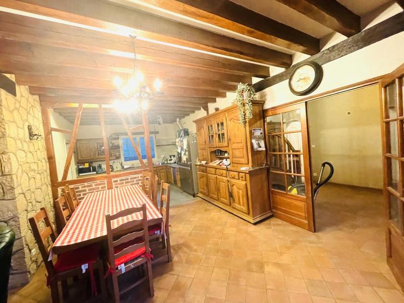 Maison bourgeoise - 412 m² - 9 pièces