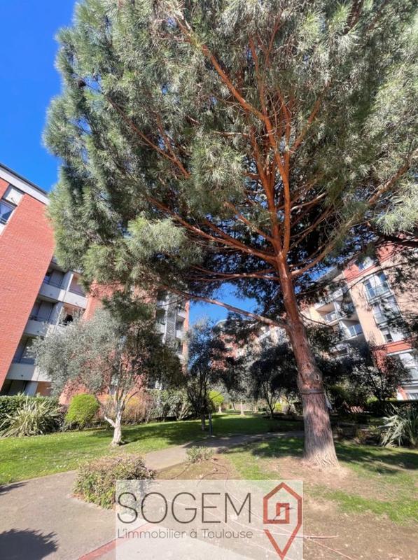 Appartement - 35 m² - 1 pièce