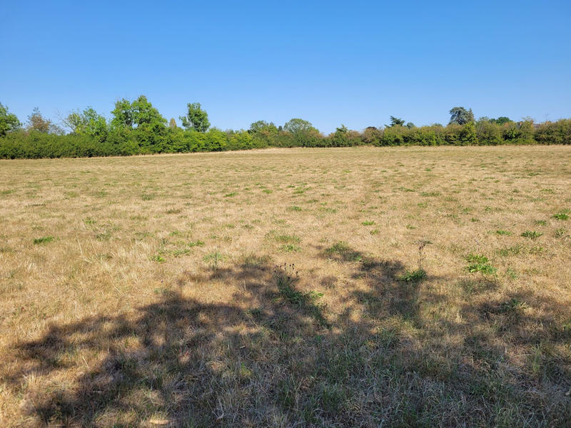 Terrain - 18 805 m²