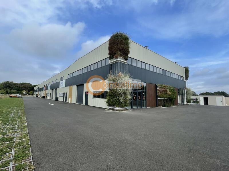 Local d'activité / Entrepôt - 250 m²