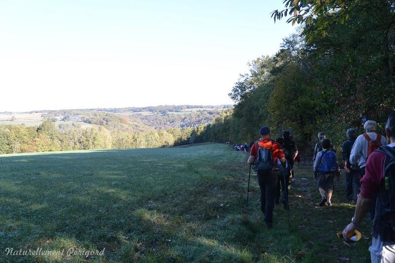 Trail des gorges de l'Auvézère