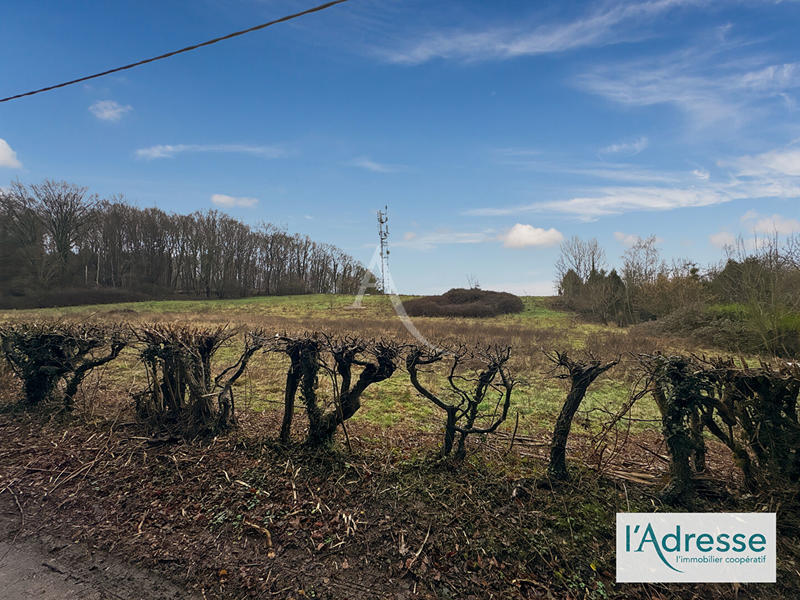 Terrain - 43 000 m²