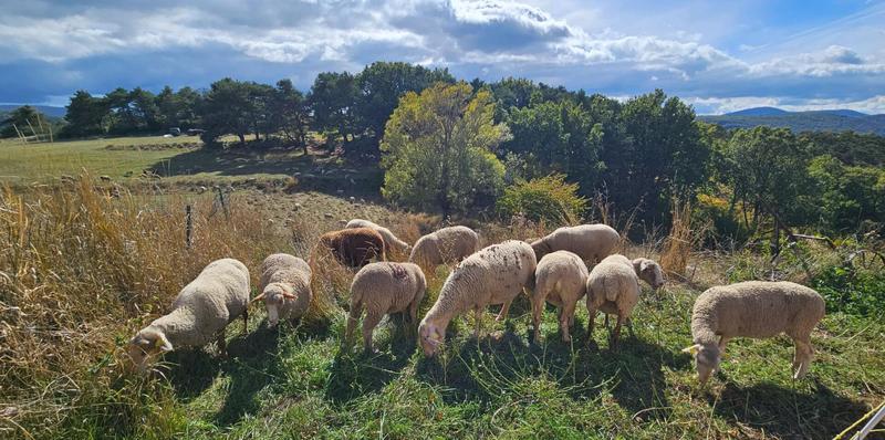 Maison - 230 m² - 6 pièces