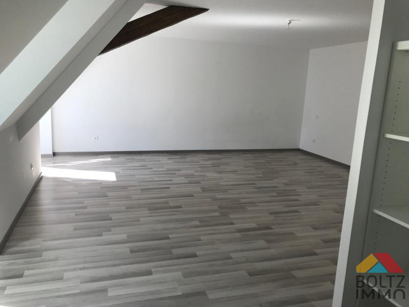 Appartement - 49 m² - 1 pièce