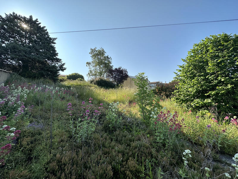 Terrain - 559 m²