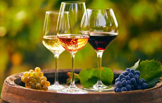 Atelier : Dans les Coulisses du Vin - Secrets de vinification