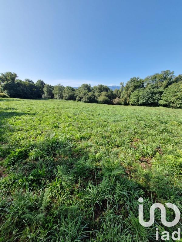Terrain agricole - 12 539 m²