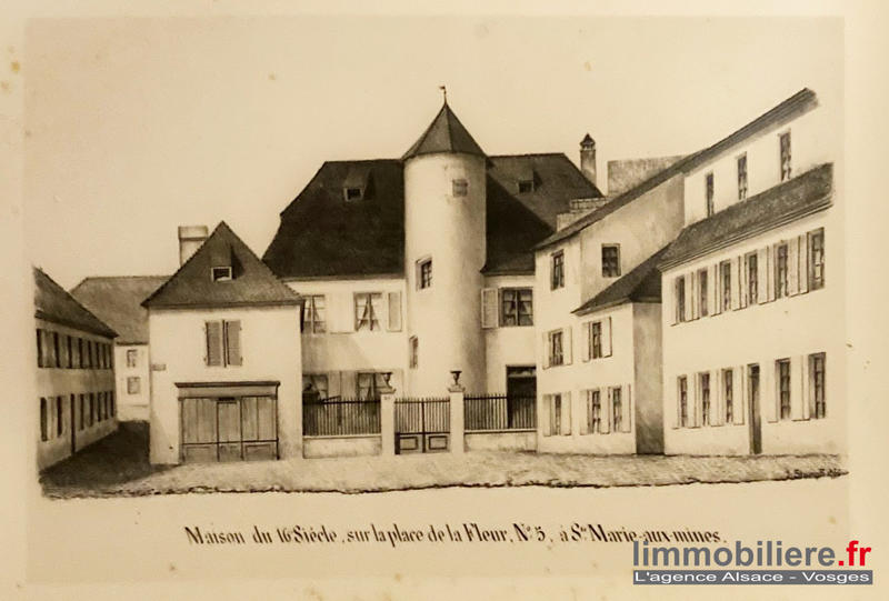 Villa - 500 m² - 12 pièces